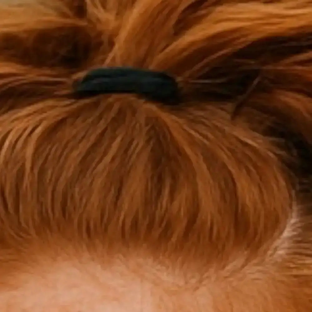 Élastique noir adapté aux cheveux bouclés ou crépus